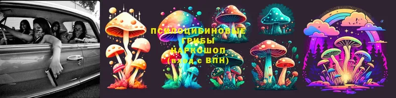 Псилоцибиновые грибы Magic Shrooms  наркота  Краснослободск 